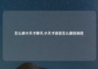 怎么跟小天才聊天,小天才语音怎么撤回消息