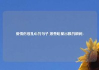 爱情伤感扎心的句子(哪些明星出糗的瞬间)