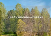文字指令对女朋友,如何在word文字后面加点