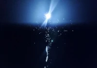 不一样的烟火搞笑语录(讽刺爱情无奈可笑的段子)