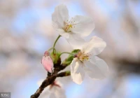 伤感短句八字文案(生活处处是坎坷的文案)