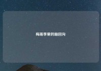 梅雨季里的脑回沟