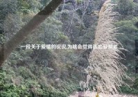 一段关于爱情的说说,为啥会觉得谈恋爱很累