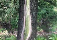 搞笑文案配图(搞笑领域的图片去哪里下载)