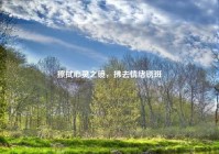 擦拭心灵之镜，拂去情绪锈斑