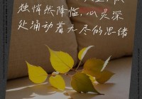 抑郁文案情感说说：触动心灵的深情独白