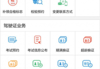 如何使用濮阳交管网处理交通违法记录
