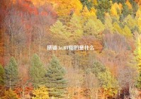 搭讪 bt,BT指的是什么