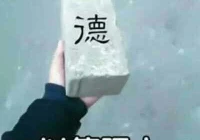 搞笑女的文案(奶奶的搞笑文案高级简短)