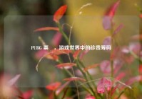 PUBG 票劵，游戏世界中的珍贵筹码