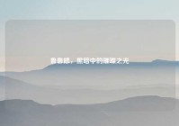 鲁鲁修，黑暗中的璀璨之光