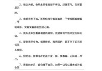 忧伤情感句子说说心情：捕捉内心的柔软瞬间