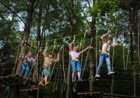 伤感短句子十字以内不是爱情(大家身边有没有突然失联的朋友)