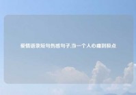 爱情语录短句伤感句子,当一个人心痛到极点