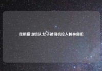 昆明搭讪组队,女子被司机拉入树林侵犯