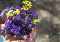 感动到哭的爱情句子(为什么感动会流泪)