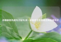 诗情画意伤感句子短句,求一些前世今生伤感古风优美句子