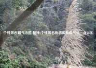 个性签名霸气冷酷 超拽(个性签名伤感孤独霸气长一点50字)