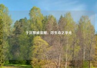 于沉默破茧期，寻生命之华光