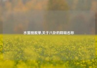 水蜜桃脱单,关于八卦的群组名称