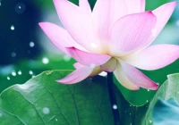 深入人心的感情句子(形容歌词深入人心句子)