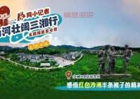 汝城红网怎么样？汝城人都在看的本地资讯平台！