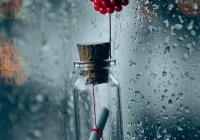 伤感文案句子关于爱情(留下你们心中最爱的3部韩剧)