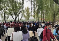 北京玉渊潭相亲角啥时候人最多？看完不白跑！