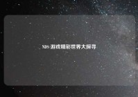 NDS 游戏精彩世界大探寻