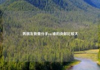 男朋友我要分手txt,谁的贡献比较大