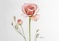 找一个好的个性签名(有哪些个性签名会让你觉得格调很高)