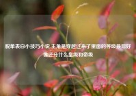 脱单表白小技巧小说,主角是穿越过来了里面的等级最后好像还分什么皇级和帝级