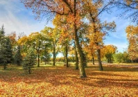 爱情励志的句子致自己简短(如何激励一个人努力学习)