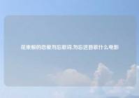 花束般的恋爱勿忘歌词,勿忘这首歌什么电影