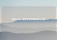 农历三月，易脱单者的奇妙缘分之旅