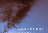 触动心灵的情感挽回说说，助你找回曾经的美好