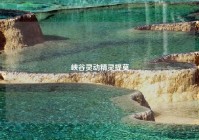 峡谷灵动精灵提莫