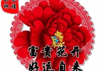 2023年微信头像最吉利好运图片(大学生图像采集特征码是什么)