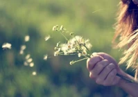 伤感爱情的短句子(伤感追人爱情句子)