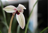 辽宁同志聊天室：温暖社区，心心相印