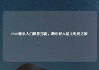 CSGO新手入门操作指南，助年轻人踏上电竞之旅