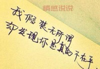 情感的说说句子大全：最打动人心的爱情与人生感悟