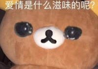 爱情是什么(真爱是什么意思)