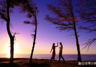 婚姻爱情情感文章：幸福婚姻的真谛与爱情的力量