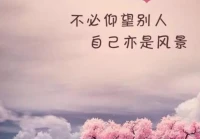 语录伤感(男女情感语录口述伤感)