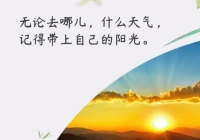 让对方看到暖心的句子(你见过最性感的女人是什么样子)