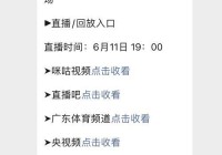 中国足球队比赛直播入口：免费观看实时赛事
