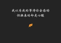 伤感的句子(想要阅读一本文笔优美文字伤感抑郁的外国经典名著)