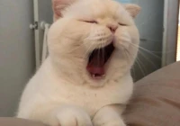 搞笑语录文案配图(长得好看有什么用搞笑文案)