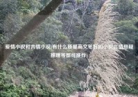 爱情小说和言情小说(有什么质量高文笔好的小说言情悬疑推理等都可推荐)